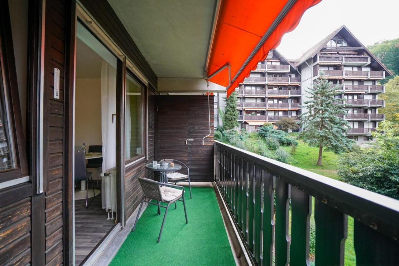 Gaishoell-Wasserfaelle Apartment Schwarzwald Засбахвальден Екстер'єр фото
