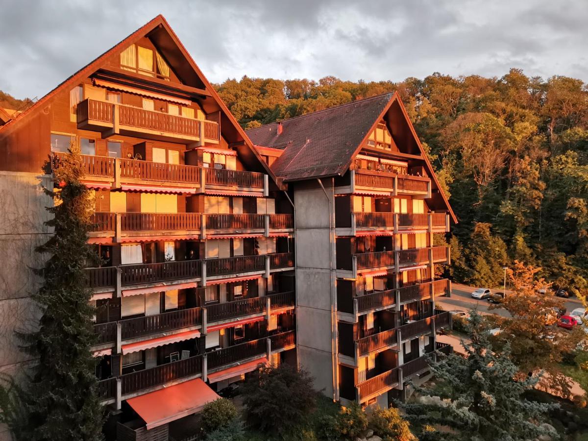 Gaishoell-Wasserfaelle Apartment Schwarzwald Засбахвальден Екстер'єр фото