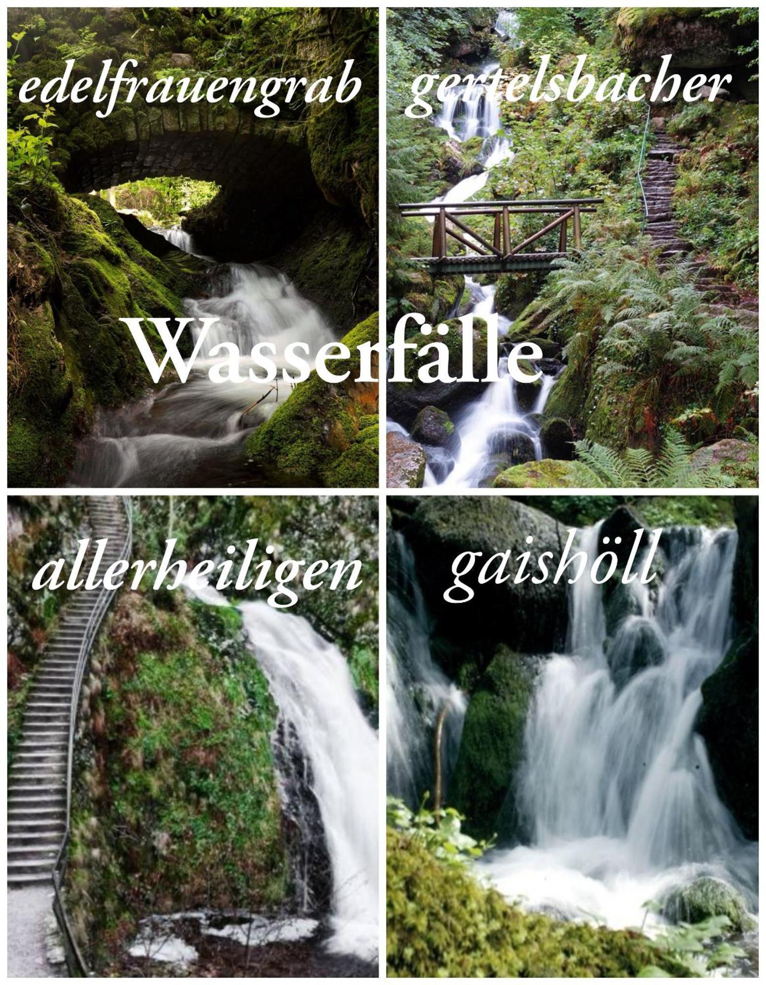 Gaishoell-Wasserfaelle Apartment Schwarzwald Засбахвальден Екстер'єр фото