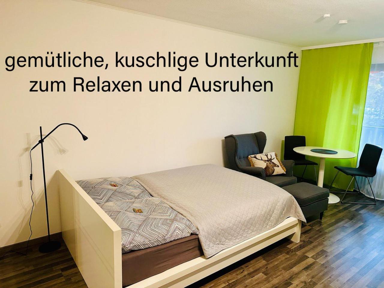 Gaishoell-Wasserfaelle Apartment Schwarzwald Засбахвальден Екстер'єр фото