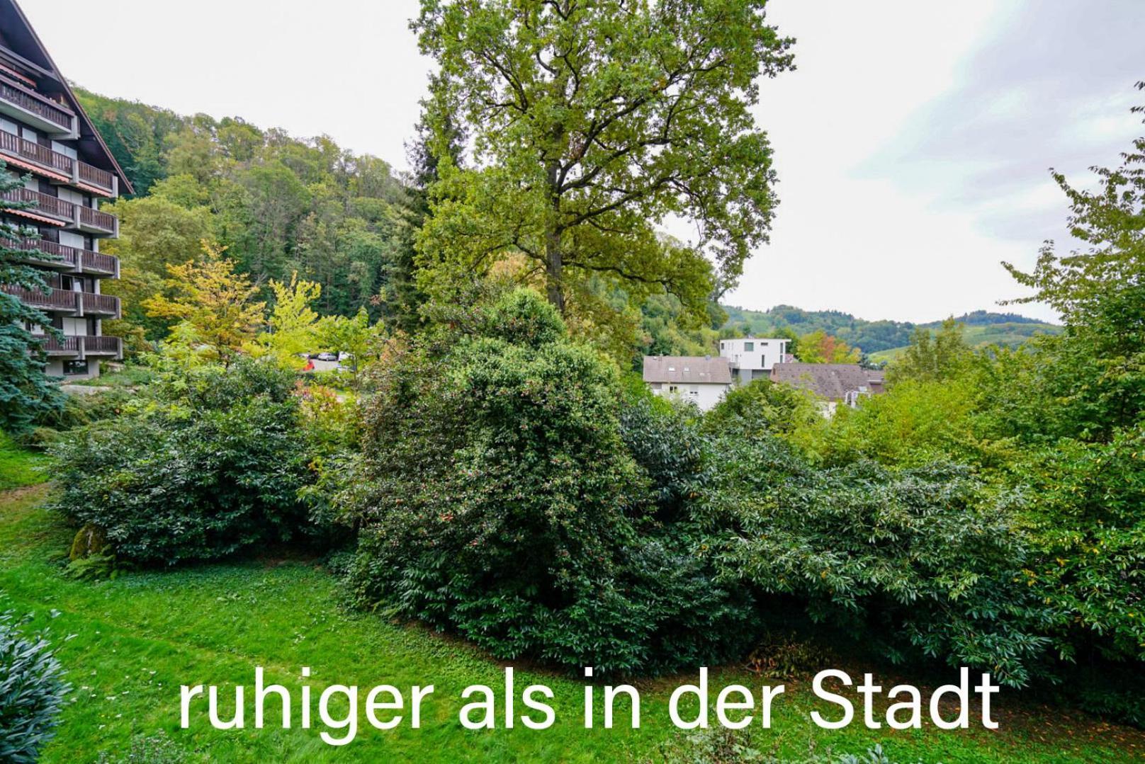 Gaishoell-Wasserfaelle Apartment Schwarzwald Засбахвальден Екстер'єр фото