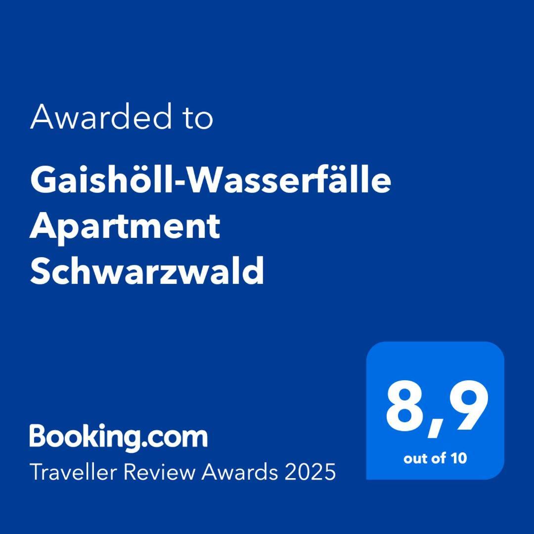Gaishoell-Wasserfaelle Apartment Schwarzwald Засбахвальден Екстер'єр фото